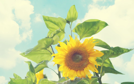 612691 (a): :2560x1600
